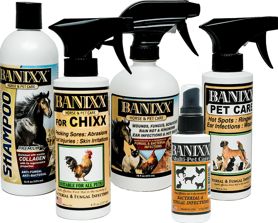 Banixx Pet Care Remedy Antifungal Antibacterial Spray